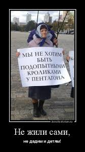 images (2) (8).jpeg