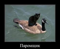 images (2).jpeg