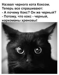 images (2).jpeg