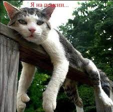 images (2).jpeg