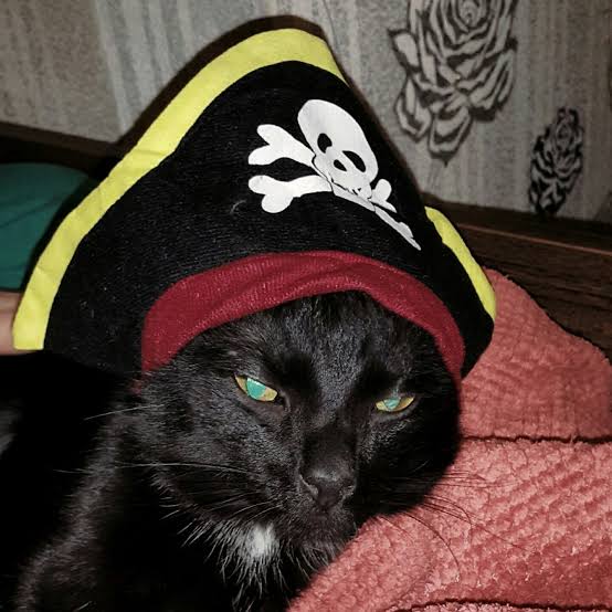 images - 2025-11-01T224444.077.jpeg