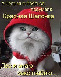 images-26.jpg