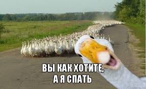 images (29).jpg