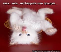 images-30.jpg