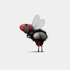images-36.jpg
