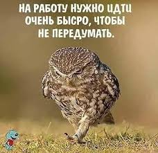 images (4).jpeg