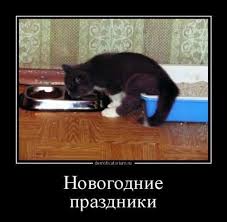 images (4).jpg