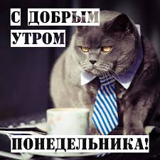images (6).jpeg