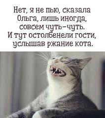 images (7).jpeg