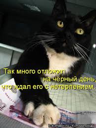 images (7).jpeg