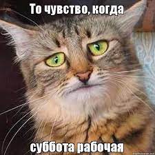 images (7).jpg