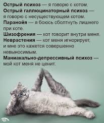 images (8).jpeg