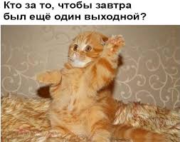 images (8).jpeg