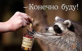 images (9).jpeg