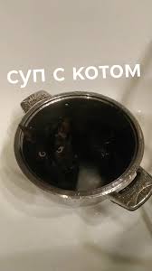 images (9).jpeg