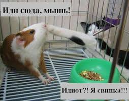 images-9.jpg