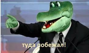 images.jpeg