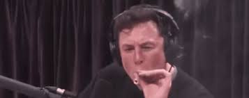 images.jpeg