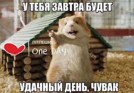 images.jpeg