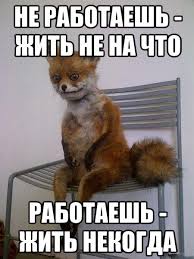 images.jpeg