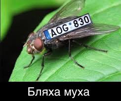 images.jpg