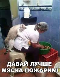images.jpg