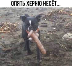 images.jpg