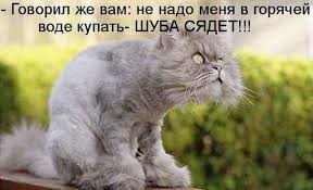 images.jpg