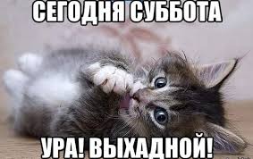 images.jpg