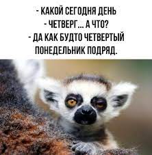 images.jpg