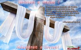images.jpg