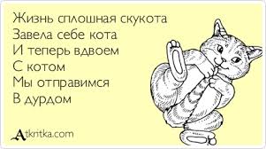 images.jpg