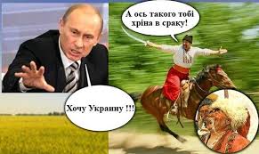 images.jpg