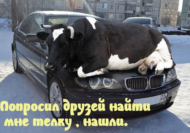 images_12161.jpeg