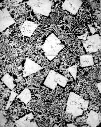 images_1685736221196.jpeg