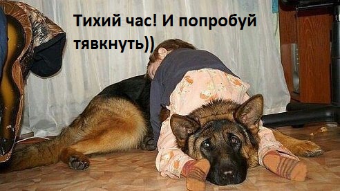 images_9428.jpg