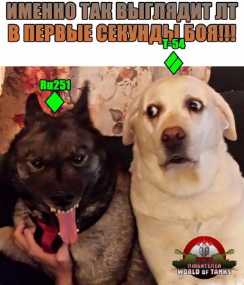 imageZC42QPC5.jpg