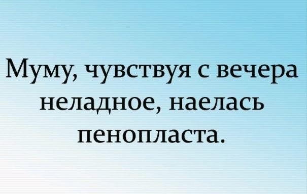 IMG-00979024a3c52147d6d27a26b0f01d34-V.jpg