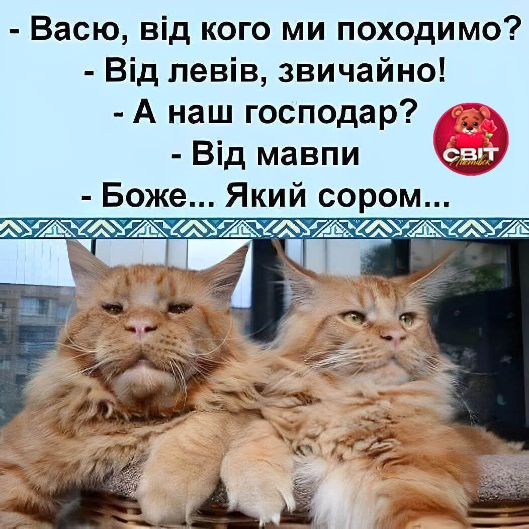 IMG-0268dd0fcd302da2f94c7e6288de5fde-V.jpg