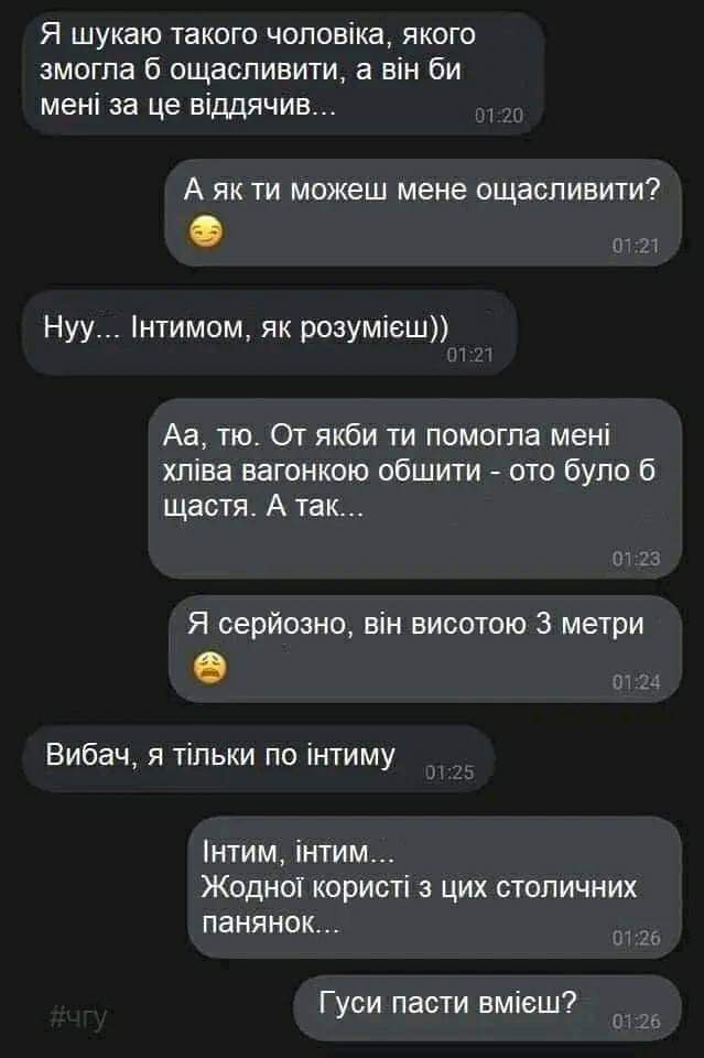 IMG-0366eac6a549441ca568114777ee4ccb-V.jpg