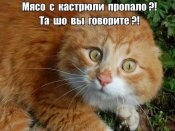 IMG-06e4d68c2e4ff601b2252d457ff74dee-V.jpg