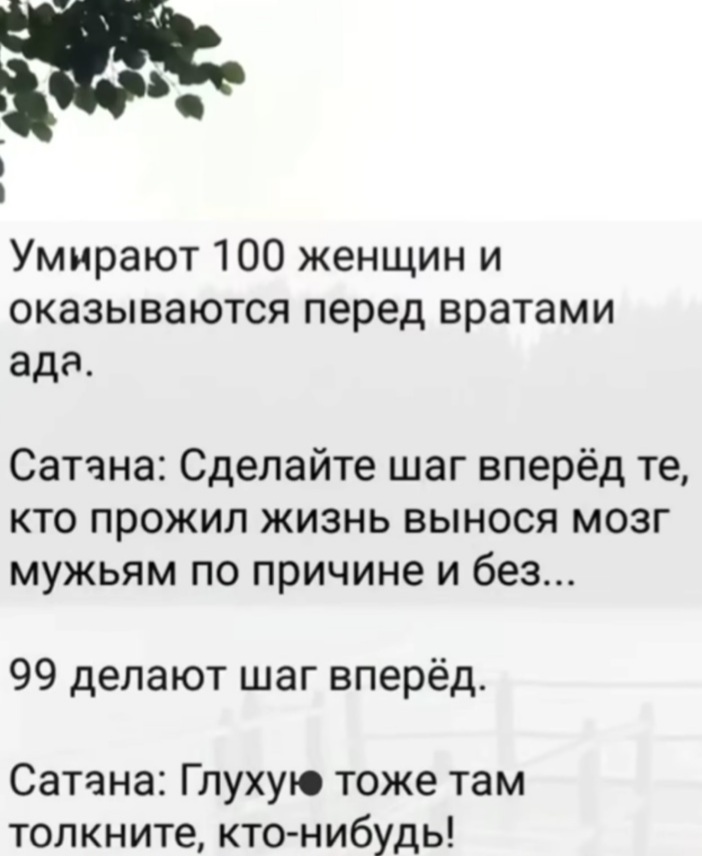 IMG-079b0839ca6103ce5a9f36f9ee55a888-V.jpg