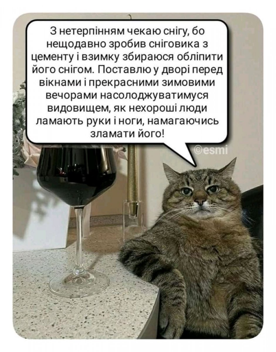 IMG-098b1ca131f23b1bdd1e72583e9753ff-V.jpg
