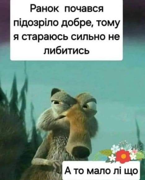 IMG-0995cb0c226a86035df78261b95e15b2-V.jpg