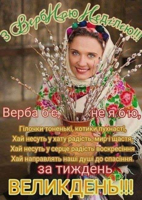 IMG-0a114b60d8b2e71274678b7d4f91db9b-V.jpg