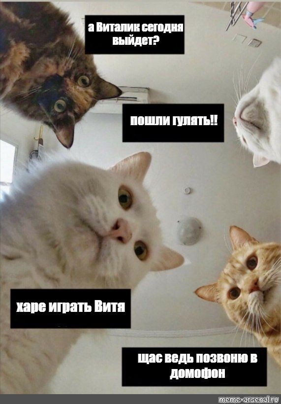 IMG-0a3e63d5b50544f23130abe925a2ef82-V.jpg