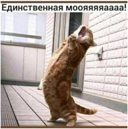 IMG-0aad6fe74929e91f75639353c360d56c-V.jpg