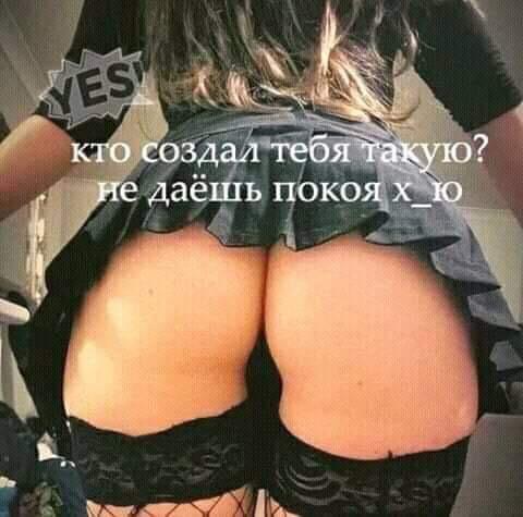 IMG-0b240ee53a0b85ab4f9f55d804ea15ad-V.jpg