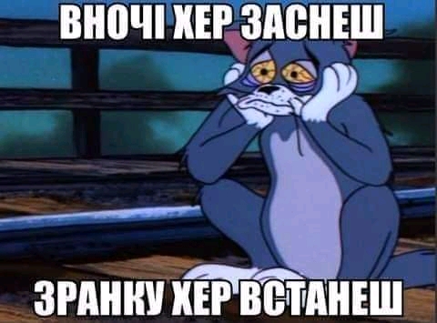IMG-0b635b9a73fb13b47e6acc135f1bd50f-V.jpg
