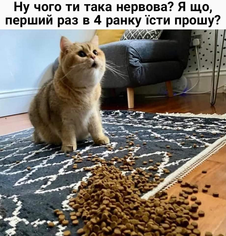 IMG-0c644959996e3dfea850a0abc957bf8c-V.jpg